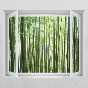 bh748-초록초록대나무숲_창문그림액자