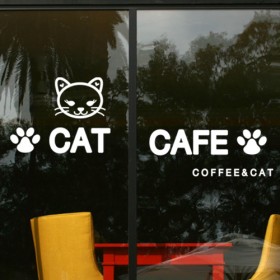 cc100-고양이카페(CAT CAFE)