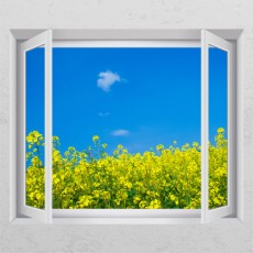 cd342-유채꽃밭_창문그림액자/자연/풍경/식물/하늘/구름/파도/바다/데코/소품/인테리어/꾸미기/디자인