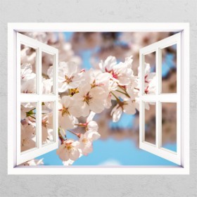 ce708-하늘아래벚꽃나무_창문그림액자