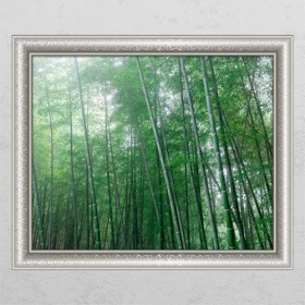 cl338-청량한대나무숲3_창문그림액자
