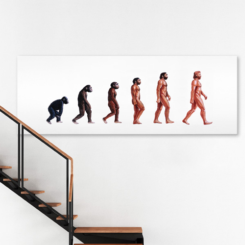 cq151-인간의역사_대형노프레임/캔버스액자,인테리어디자인벽면데코소품,인간의기원,사람,성장,진화,원숭이,오스트랄로피테쿠스,호모사피엔스,역사,과정