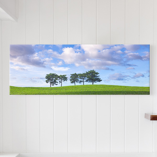 cq356-파란하늘아래다섯나무_대형노프레임/인테리어캔버스액자데코꾸밈소품,풍경,나무,하늘,푸른,초록,풀,평화,구름