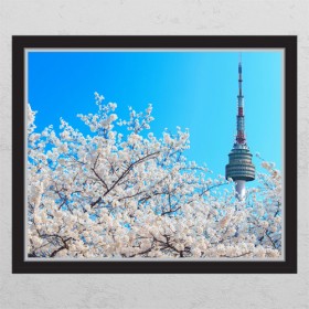 cr561-벚꽃과남산타워_창문그림액자