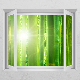 cr793-햇살이비추는대나무숲_창문그림액자