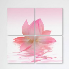 ga989-멀티액자_빛나는분홍빛연꽃