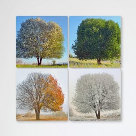 if182-멀티액자_사계절이보이는나무한그루