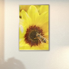ix827-꿀벌의하루_중형메탈액자