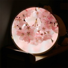 nh126-LED액자45R_봄날의벚꽃