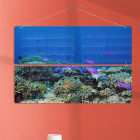 nl703-멀티아크릴액자_바닷속아름다운물고기들(2단대...