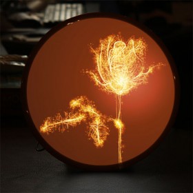 nx244-LED액자25R_불꽃처럼화려한꽃