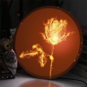 nx245-LED액자35R_불꽃처럼화려한꽃