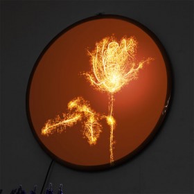 nx246-LED액자45R_불꽃처럼화려한꽃
