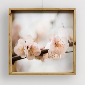 pf498-우드프레임액자_나뭇가지에매달린벚꽃(중형)