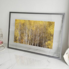 ah480-투명액자78CmX56Cm_그림같은황금빛자작나무숲
