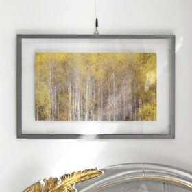 ah528-투명액자58CmX38Cm_그림같은황금빛자작나무숲