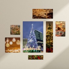 cf795-멀티액자_크리스마스를빛내는조명/크리스마스/겨울/선물/산타/산타클로스/루돌프/썰매/눈/눈사람/트리/나무/전구/조명