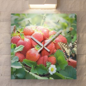 cg439-딸기와나비_인테리어벽시계