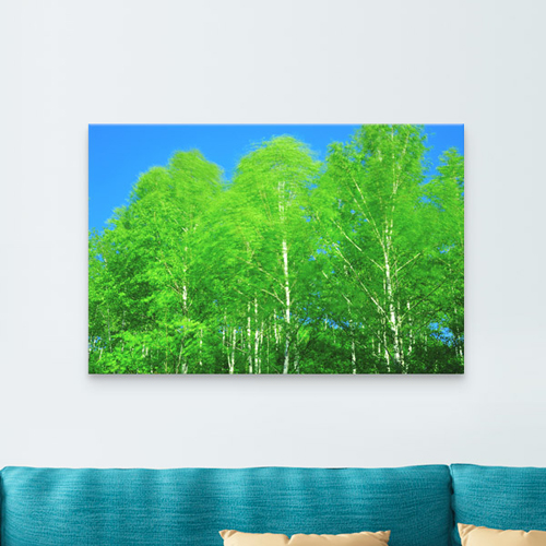 cq245-푸른하늘과초록나무_중형노프레임/인테리어캔버스액자데코꾸밈소품/초록색/나무/하늘/자연/풍경/감성/자유