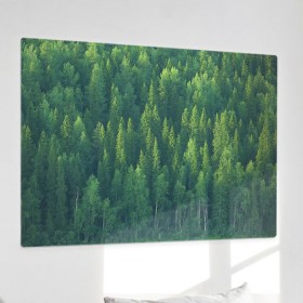 fh326-사각그림액자_나무숲