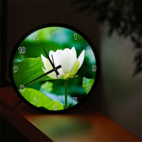 nf670-LED시계액자35R_영롱한하얀연꽃