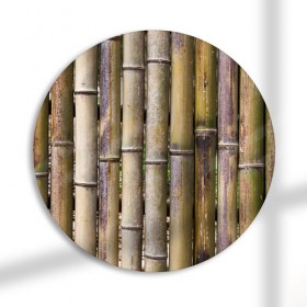 pb306-원형아크릴액자_벽처럼세워진대나무