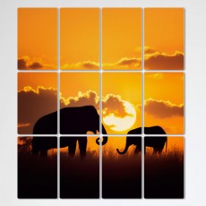 pf090-멀티액자_노을지는풍경과코끼리/동물/야생/야생동물/포유류/코끼리/자연/귀/코/상아/가족/야외/아프리카/초원