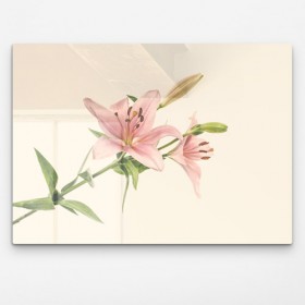 pm273-폼아크릴액자78CmX56Cm_한폭의벚꽃그림