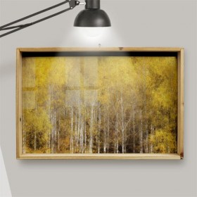 th433-우드프레임액자_황금빛자작나무숲그림