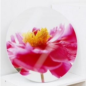 cd654-원형아크릴액자_재물운높여주는모란꽃