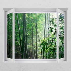 cl336-청량한대나무숲1_창문그림액자