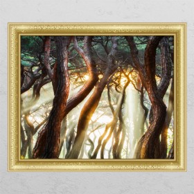 pr931-불로장생소나무숲_창문그림액자